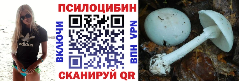 закладки  Новоульяновск  Галлюциногенные грибы прущие грибы 